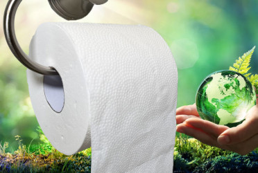Eco-friendly toilet papers gain popularity, but environmental impact varies