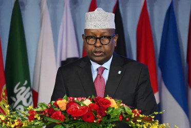 Israel plans to displace Palestinians to Somaliland: Somalia