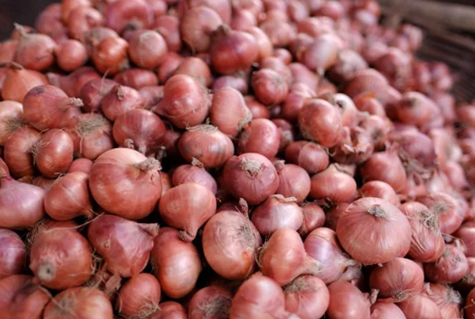Onion imports through Benapole halted for two weeks