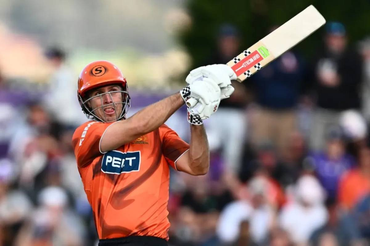 Big Bash League to introduce designated batter and fielder under new rules