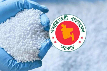 Govt to purchase 210,000 tons of fertilizer from local, international sources