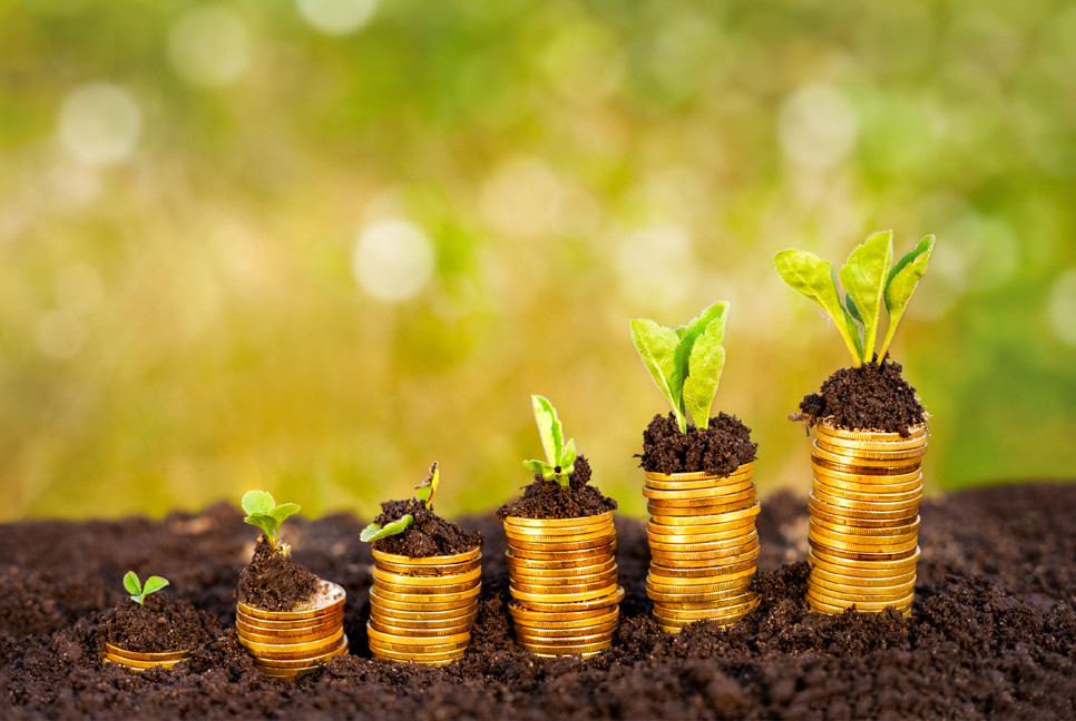 Agricultural loans on the rise, monitoring poses challenge