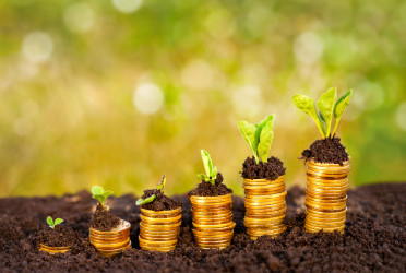 Agricultural loans on the rise, monitoring poses challenge