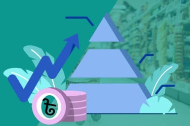 Yunus fails to revive economy