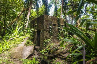 5,000-year-old fortress hidden in Romanian forest discovered using LiDAR
