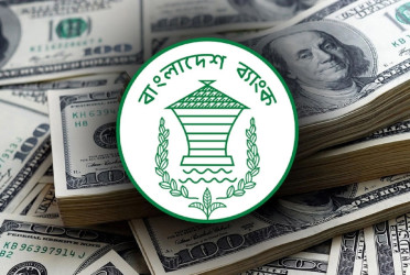 Forex reserves surge past $34.5 billion