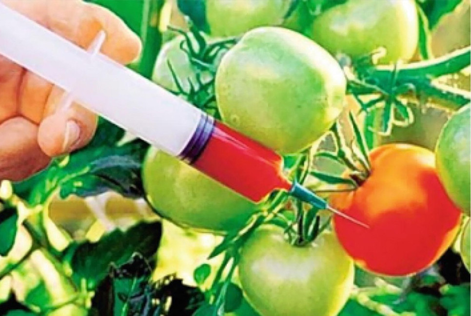 Health risks soar as adulterated food floods the market