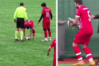 Nearly an own gull! CPR performed on bird at Turkey football match