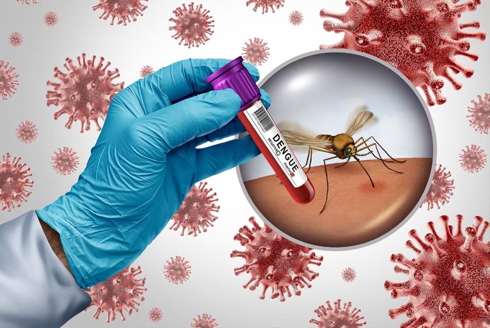 India moves closer to dengue vaccine as final trials underway