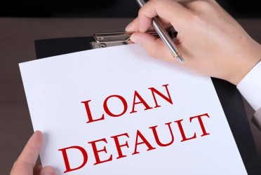 Defaulted loans drop to 31% after special rescheduling facility