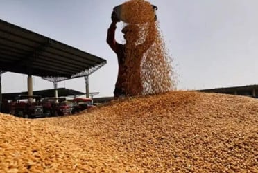 62,150 tonnes of US wheat reach Chattogram port under G2G deal