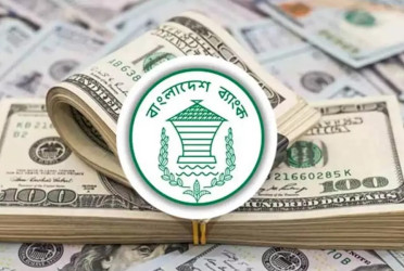 Forex market stable, reserves hit $34.35b amid record remittance: BB