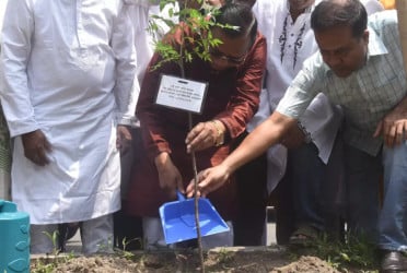 DSCC to plant 300,000 trees over five years
