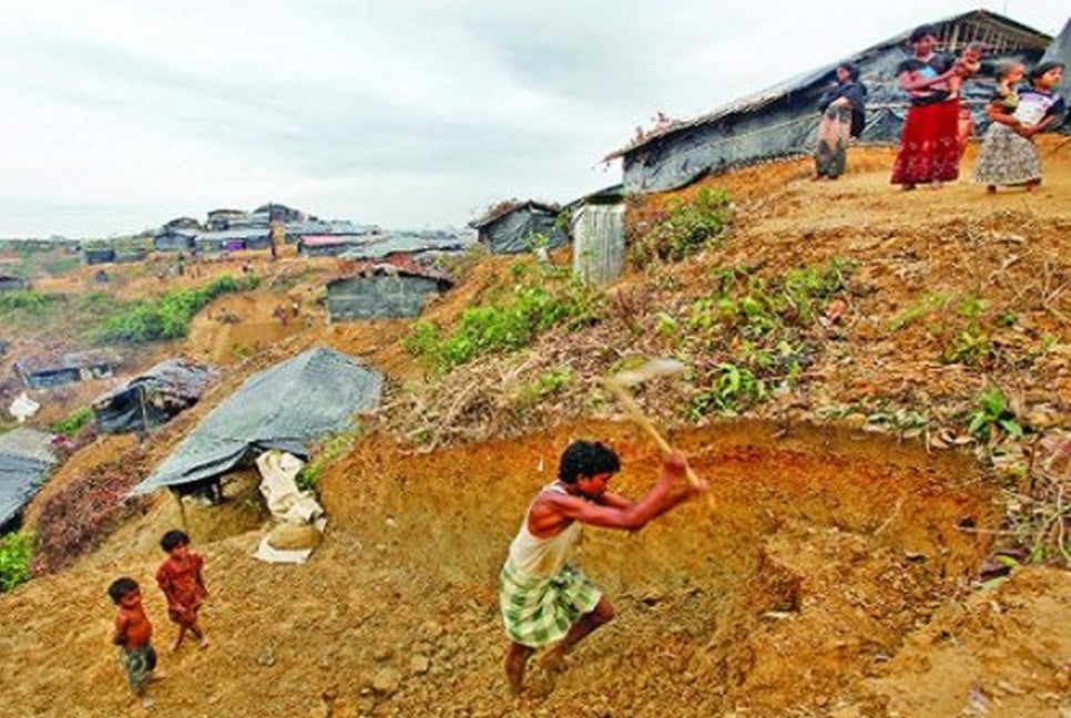 Rohingyas ramping up deforestation activities