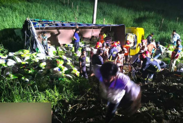 Seven killed, 6 hurt as rice-laden truck falls into ditch in Cumilla