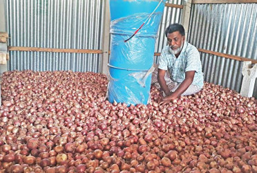 Govt plans to install 8,000 air flow machines to reduce onion, garlic wastage