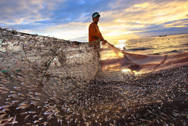 Bangladesh enforces 58-day Bay of Bengal fishing ban