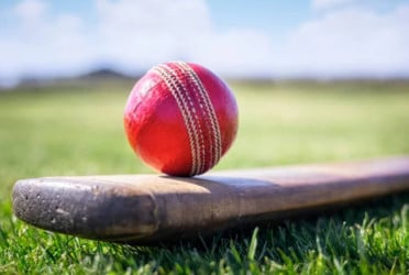 79 cricketers switch teams on Day 1 of DPL player transfer