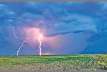 12 die in separate lightning strikes in six districts