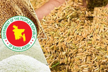 Govt sets procurement prices for Boro season paddy, rice and wheat