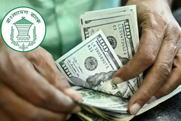 Rise in remittance inflow boosts country’s economic stability