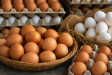 Egg prices soar