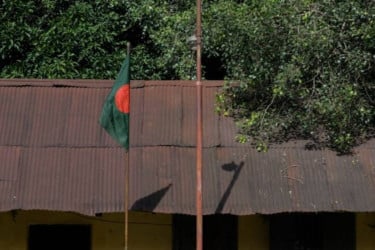 Probe bodies formed over school feeding irregularities