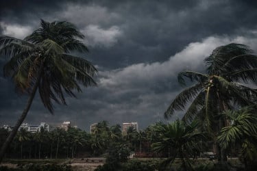 Storms, 60 km/h winds to hit 20 regions by noon