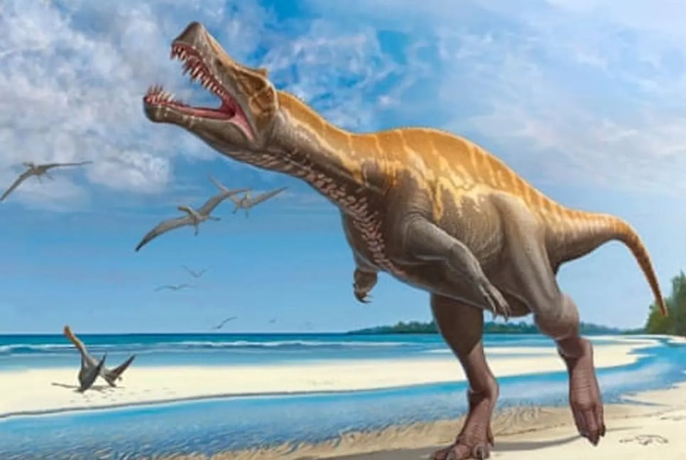 German museum to return rare Irritator dinosaur skull to Brazil