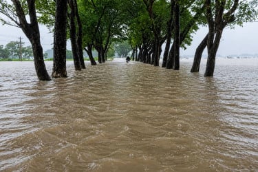 River levels remain above danger mark in Sylhet
