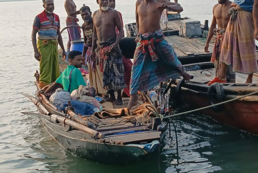 Honey collector injured in tiger attack in Sundarbans
