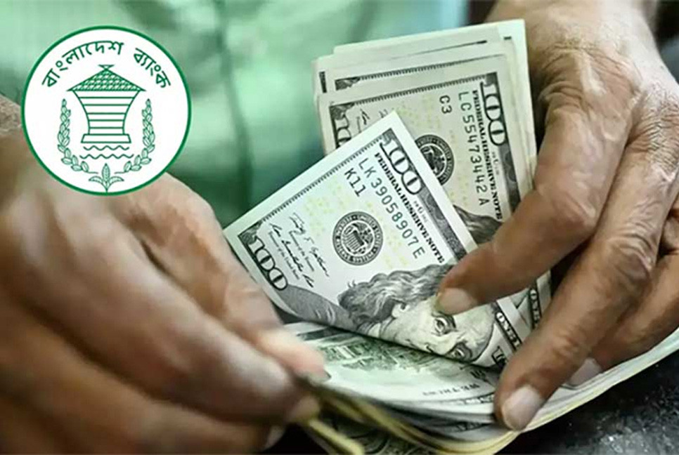 Remittance inflow grows 41.7pc in 1st 11 days of May
