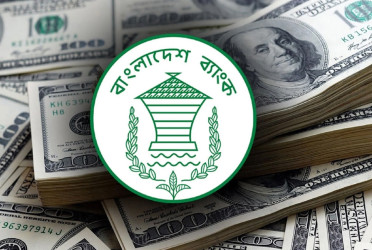 Foreign currency reserve stands at $34.23b