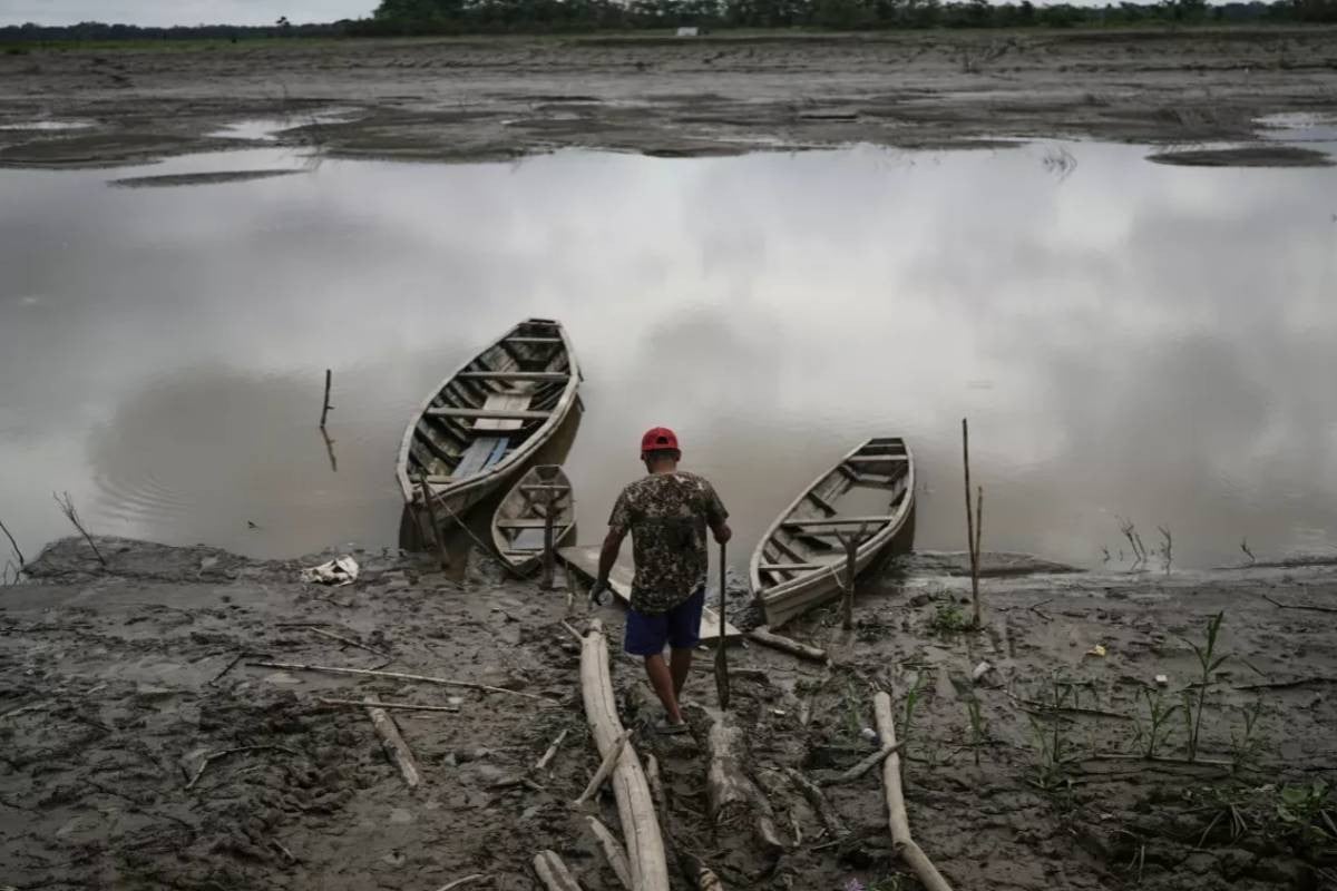 Climate change reduces oxygen levels in rivers worldwide, threatening fish