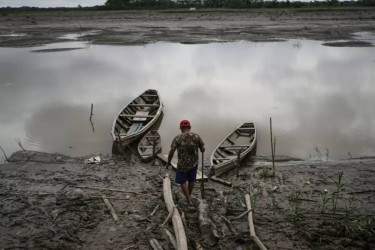 Climate change reduces oxygen levels in rivers worldwide, threatening fish
