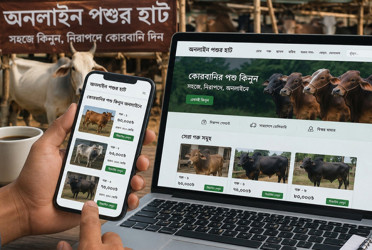 Online cattle trading gaining popularity among middle class