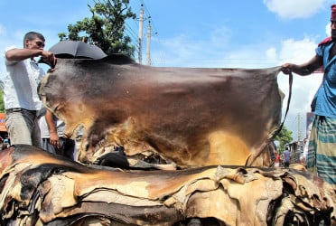 Leather sector remains vulnerable despite booming Eid economy