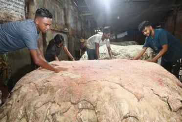 Commerce Ministry opens control room for sacrificial hides management