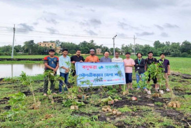 Moulvibazar campaign highlights importance of tree plantation