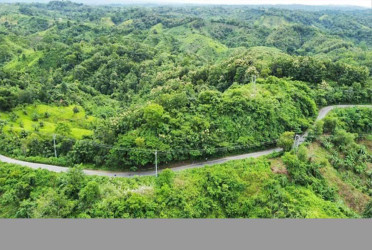 Three killed in landmine explosion along Bandarban border