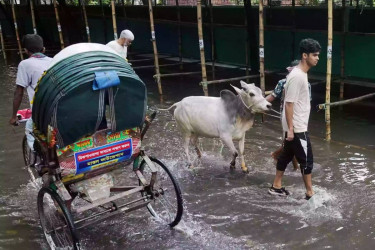 Fresh rain triggered waterlogging in Dhaka, disrupted Eid preparations