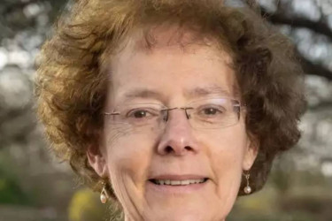 ICC appoints Dr Ros Rivaz as independent director