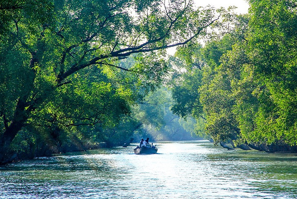 Sundarbans entry banned from June 1 to Aug 31 to protect biodiversity