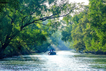 Sundarbans entry banned from June 1 to Aug 31 to protect biodiversity