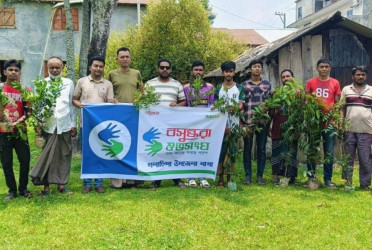Tree plantation, sapling distribution programme held in Patuakhali