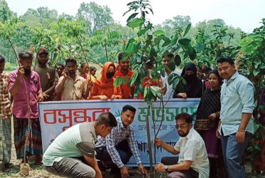 Ethnic minorities get free saplings to bolster forestation drive in Dinajpur