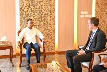 UNDP Resident Representative calls on PM