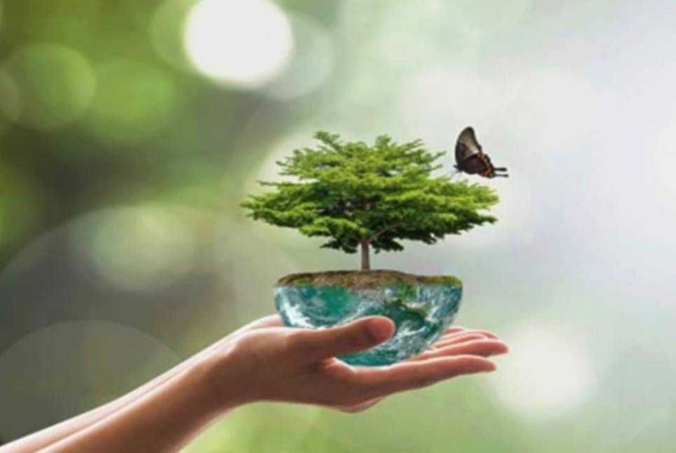 World Environment Day being observed in country