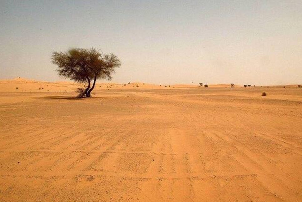 49 die of thirst in Niger desert after truck breaks down