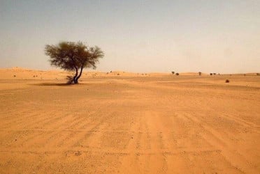 49 die of thirst in Niger desert after truck breaks down